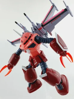 HG SEED Z'Gok
