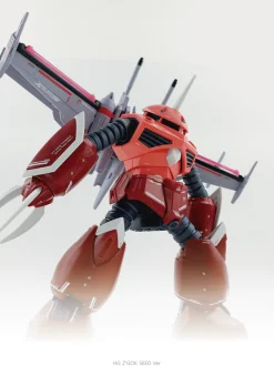 HG SEED Z'Gok