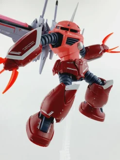 HG SEED Z'Gok