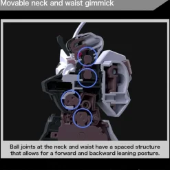 HGWFM 25 Schwarzette