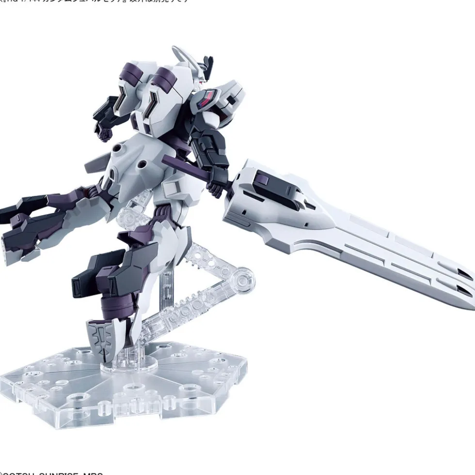 HGWFM 25 Schwarzette