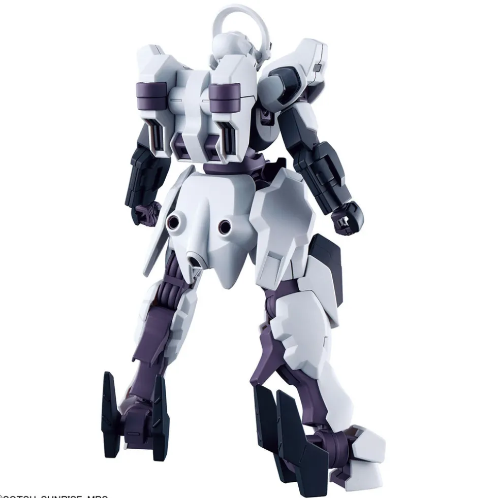 HGWFM 25 Schwarzette
