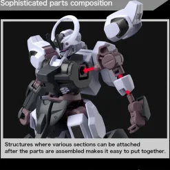 HGWFM 25 Schwarzette