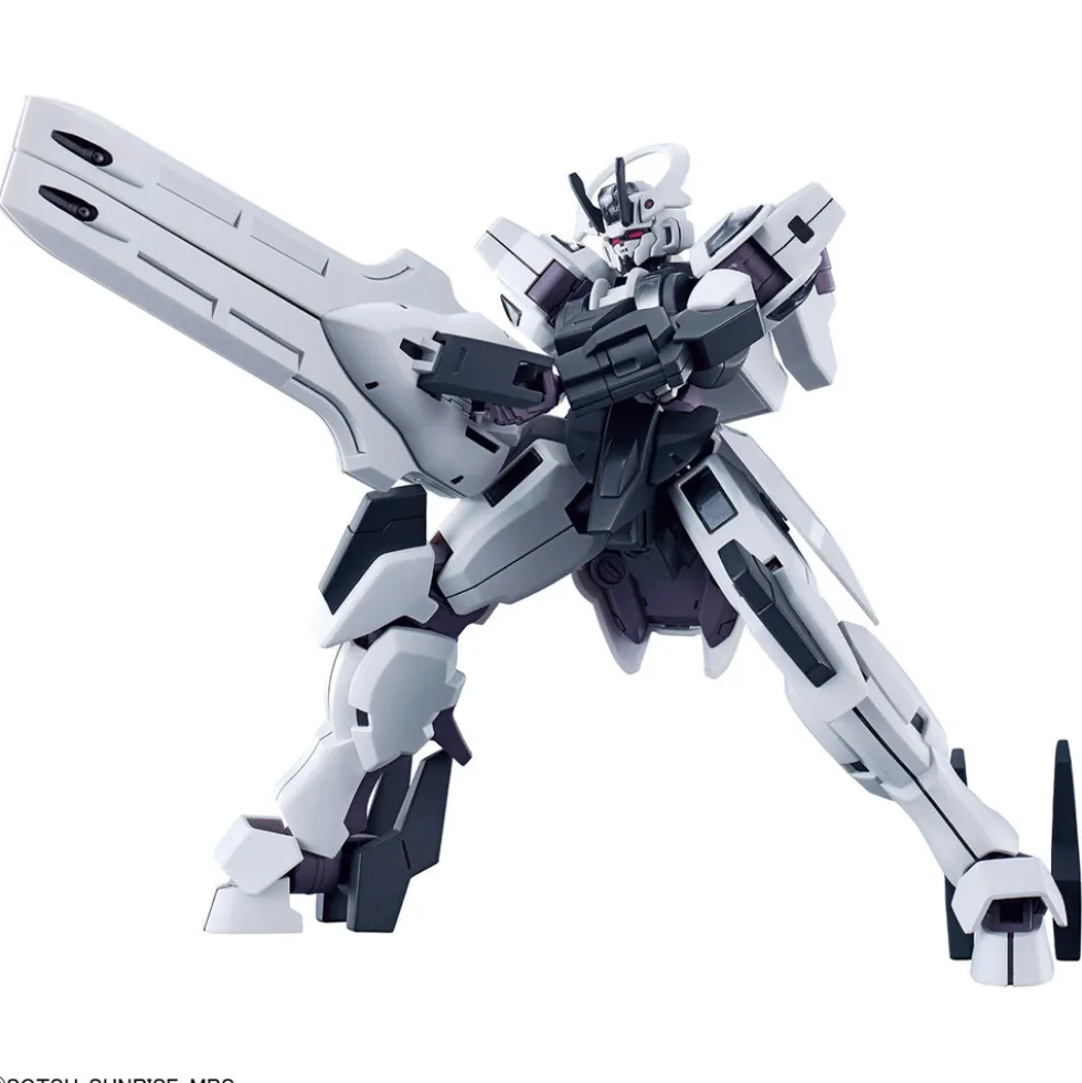 HGWFM 25 Schwarzette