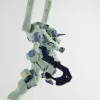 HG Zowort