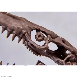 1/32 Imaginary Skeleton Mosasaurus