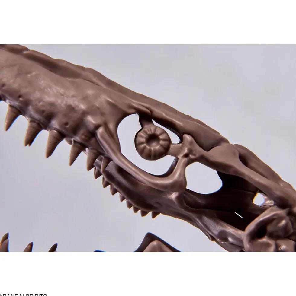 1/32 Imaginary Skeleton Mosasaurus