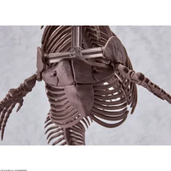1/32 Imaginary Skeleton Mosasaurus