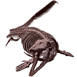 1/32 Imaginary Skeleton Mosasaurus