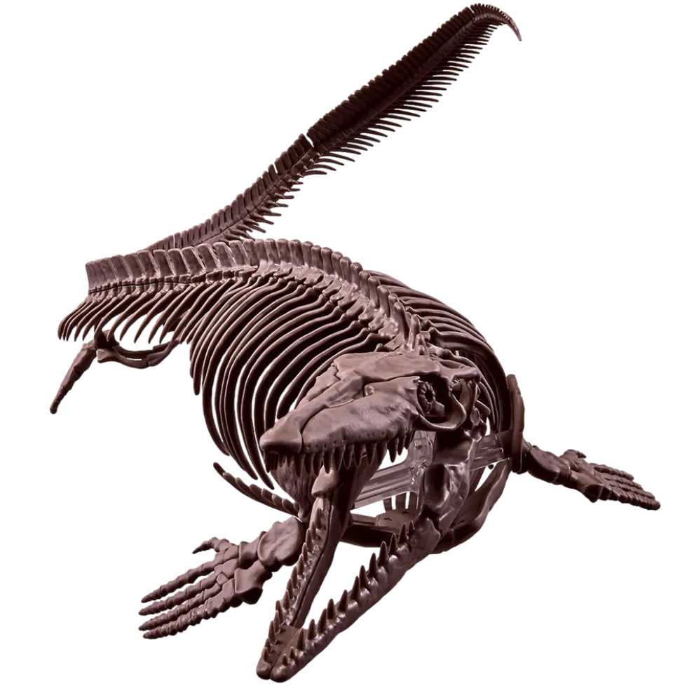 1/32 Imaginary Skeleton Mosasaurus