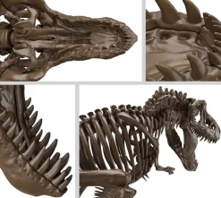1/32 Imaginary Skeleton Tyrannosaurus