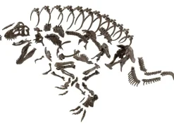1/32 Imaginary Skeleton Tyrannosaurus