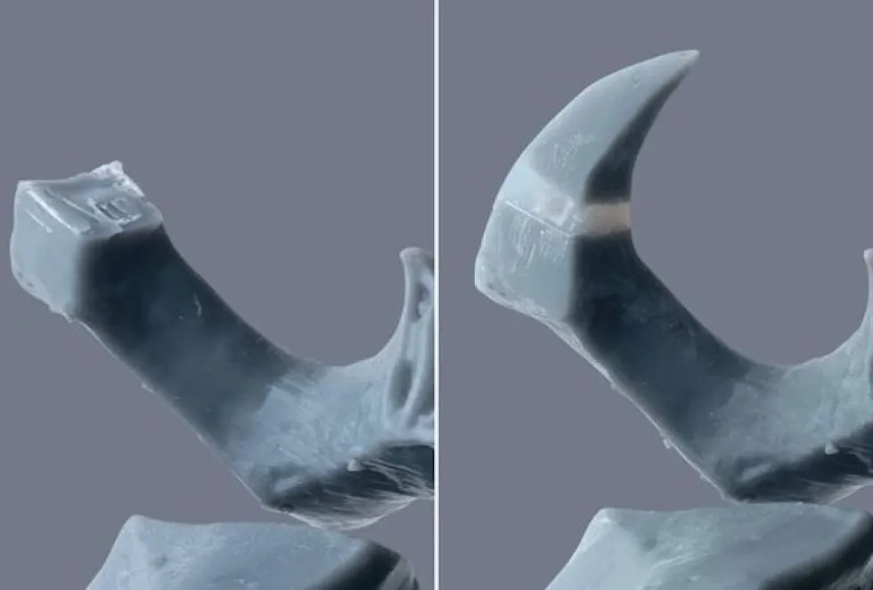 Light Curing Putty