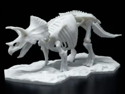 Limex Skeleton Triceratops