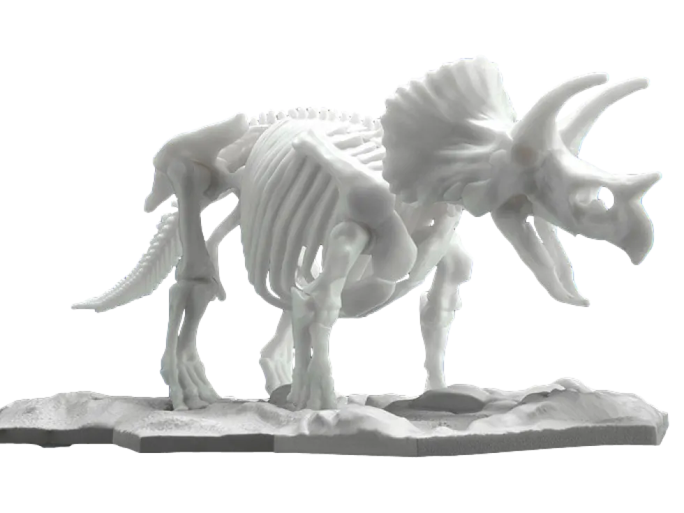 Limex Skeleton Triceratops