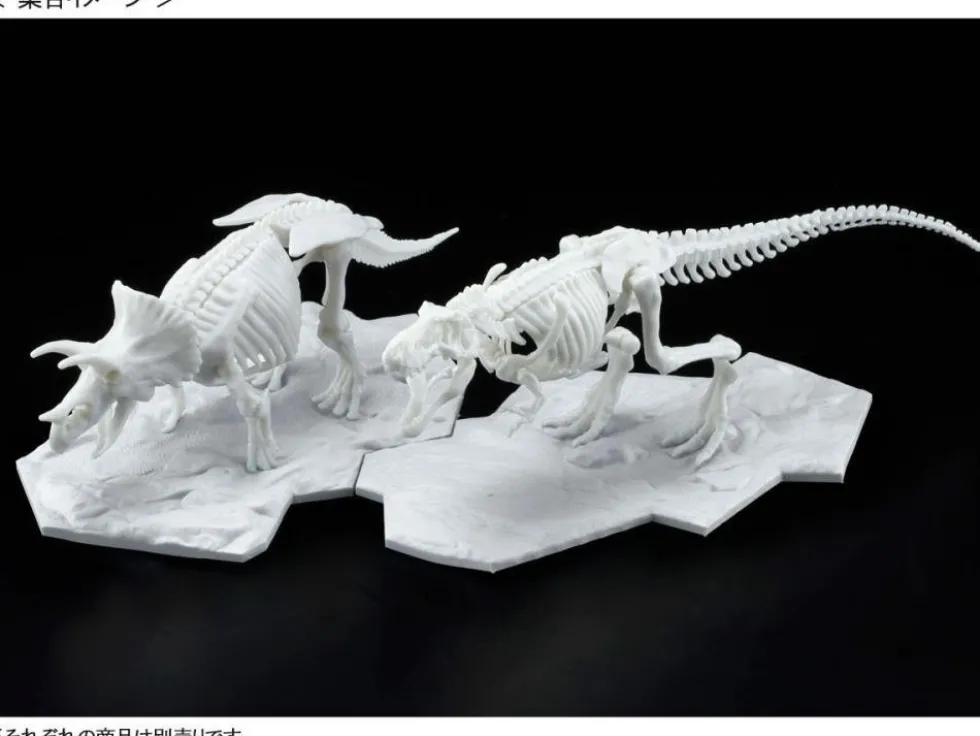 Limex Skeleton Triceratops