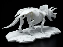 Limex Skeleton Triceratops