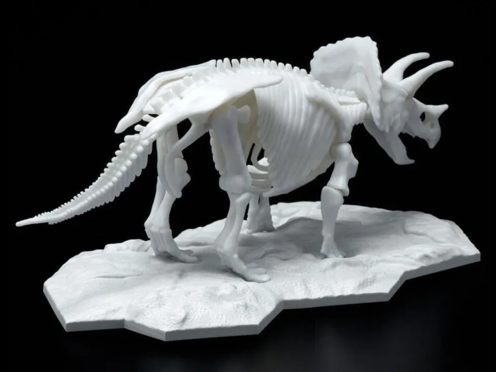 Limex Skeleton Triceratops