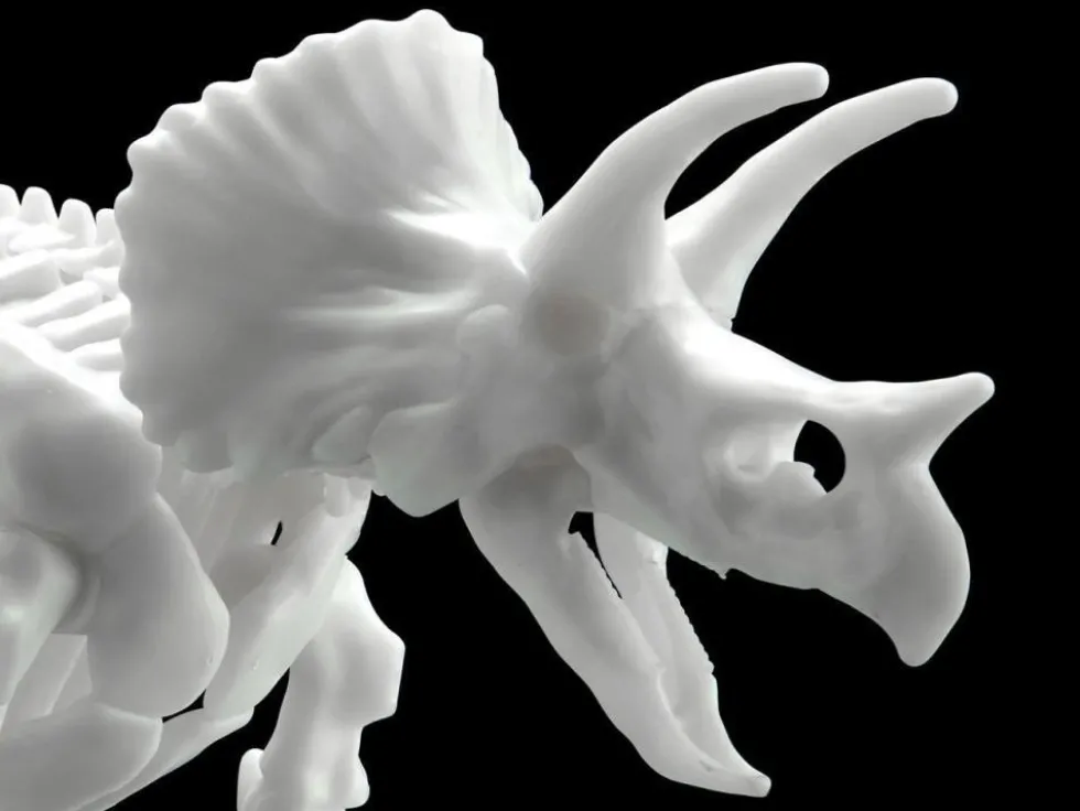 Limex Skeleton Triceratops