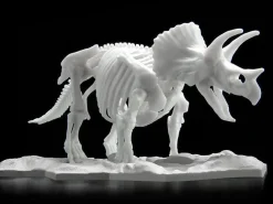 Limex Skeleton Triceratops