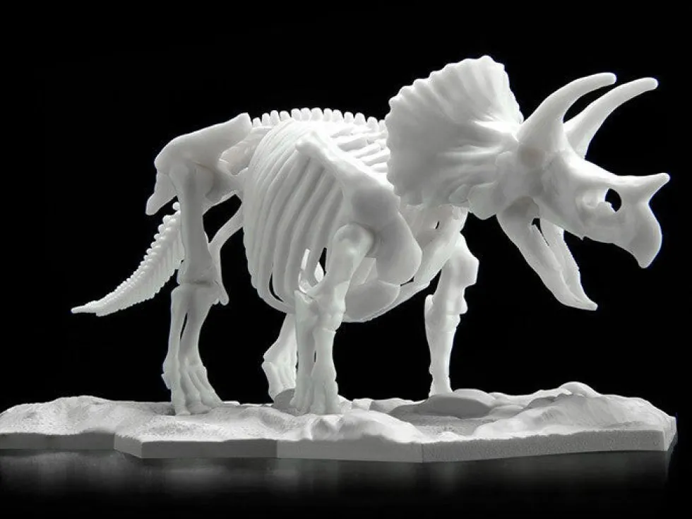 Limex Skeleton Triceratops