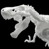 Limex Skeleton Tyrannosaurus Rex