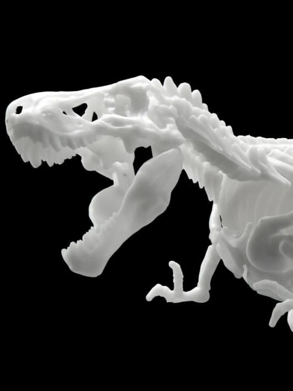 Limex Skeleton Tyrannosaurus Rex