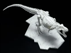 Limex Skeleton Tyrannosaurus Rex