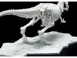 Limex Skeleton Tyrannosaurus Rex