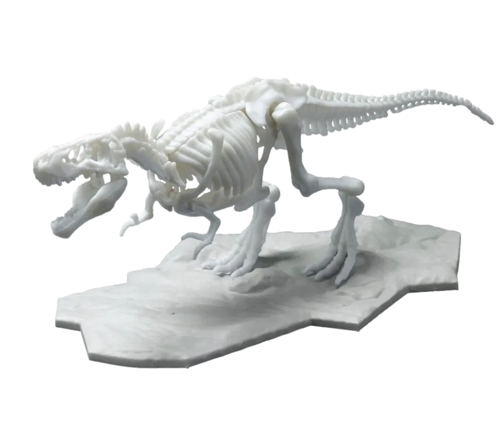 Limex Skeleton Tyrannosaurus Rex