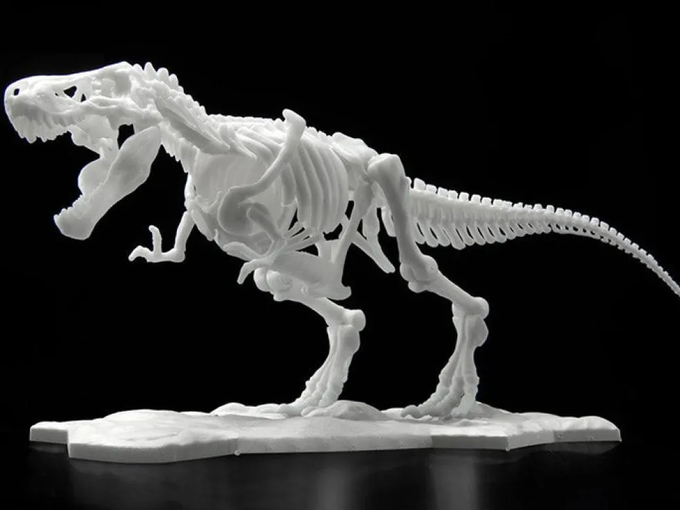 Limex Skeleton Tyrannosaurus Rex