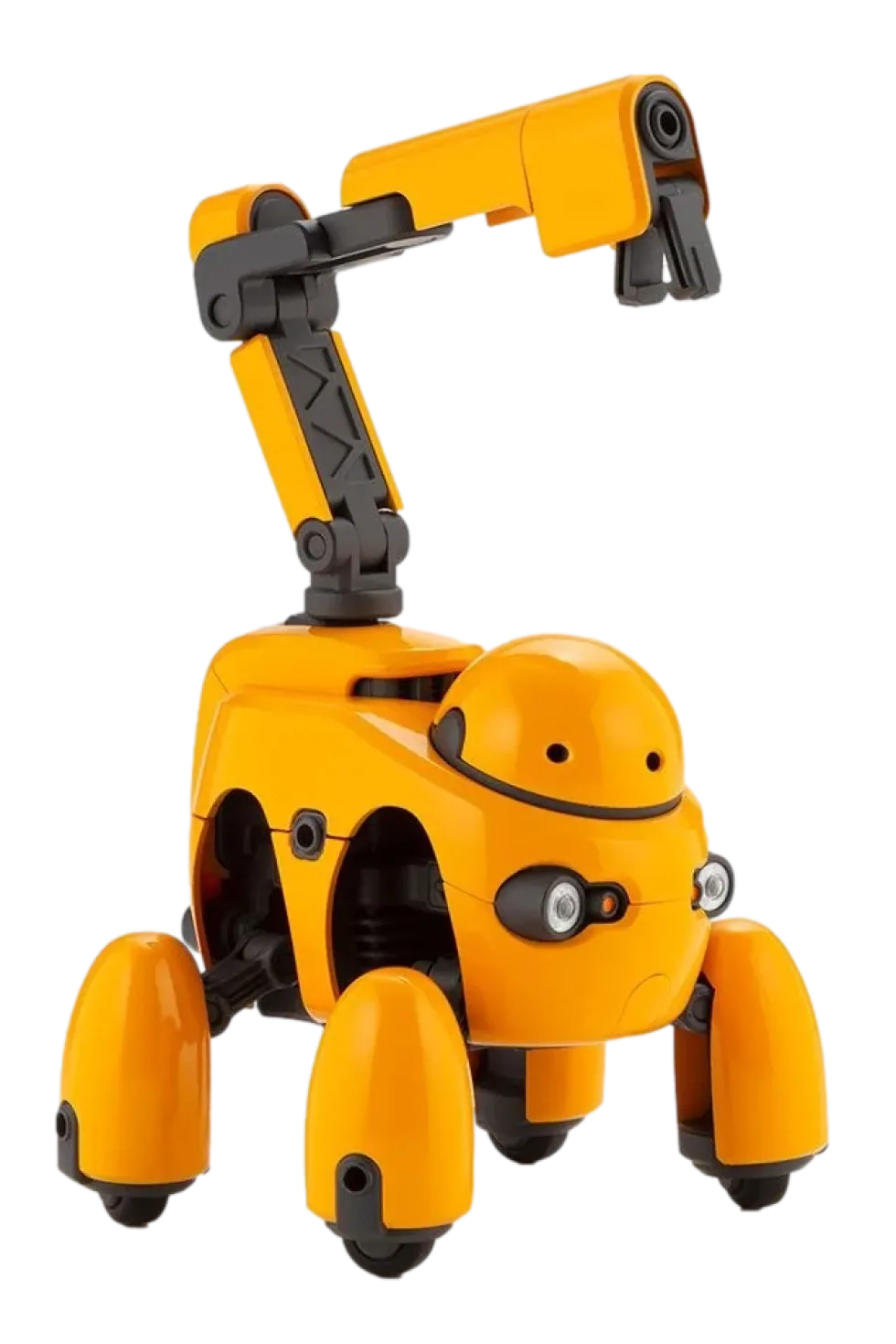 Maruttoys Tamotu (Orange)