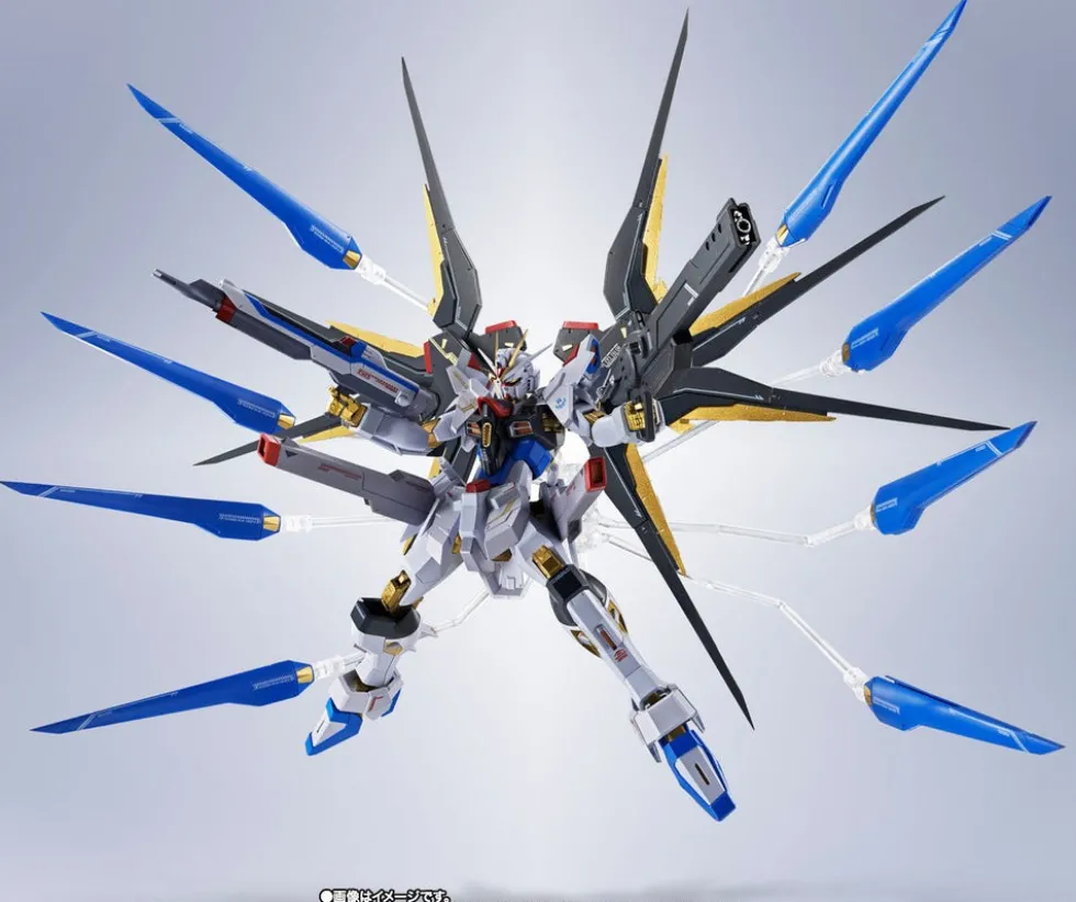 Metal Robot Spirits Strike Freedom Gundam Type Ⅱ