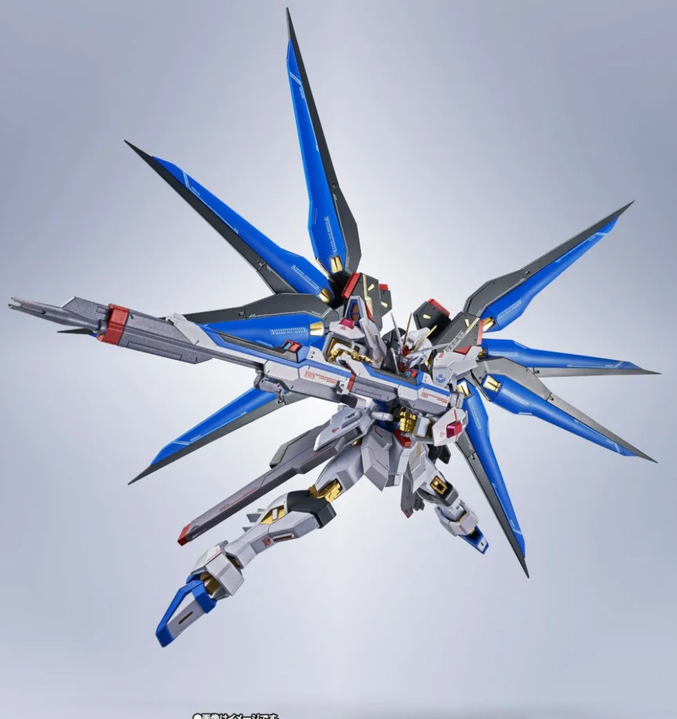 Metal Robot Spirits Strike Freedom Gundam Type Ⅱ
