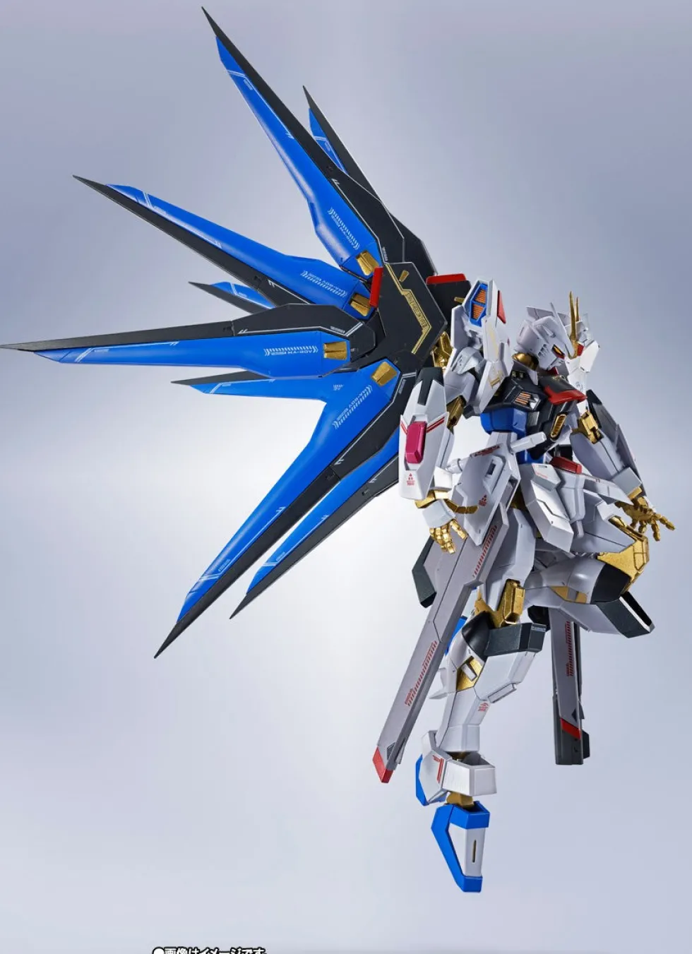 Metal Robot Spirits Strike Freedom Gundam Type Ⅱ
