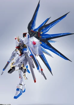 Metal Robot Spirits Strike Freedom Gundam (Re: Coordinate)