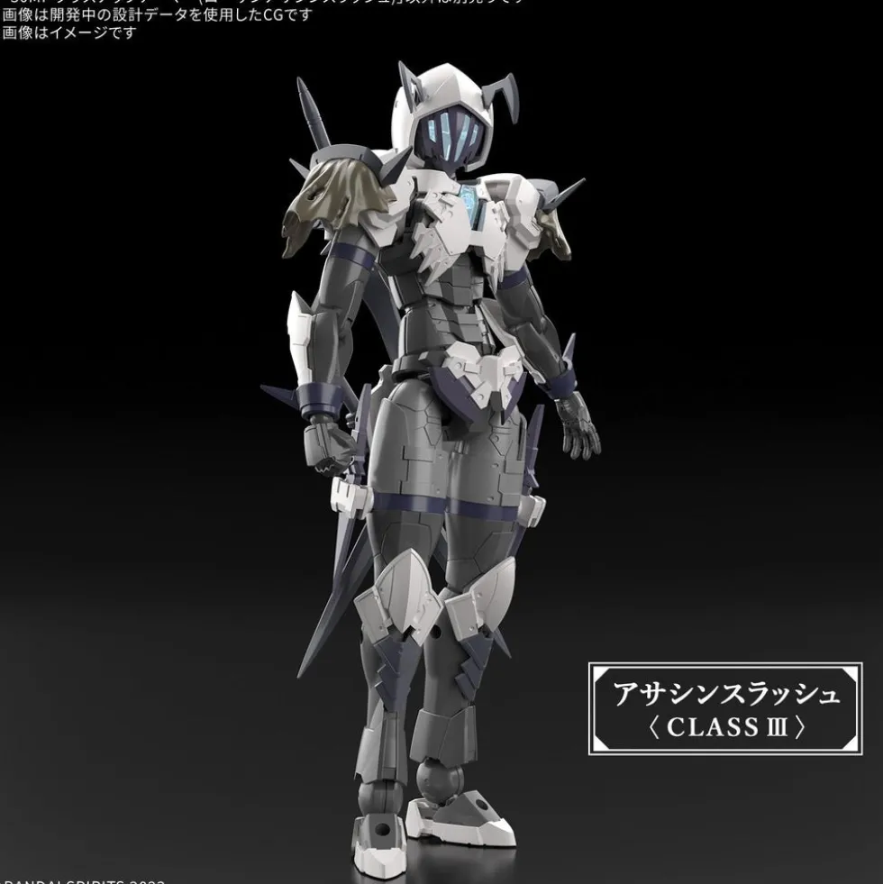 30MF Class Up Armor A-12 (Rosan Assassin Slash)