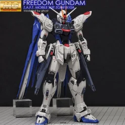 MG Freedom Gundam (Ver. 2.0) Decals