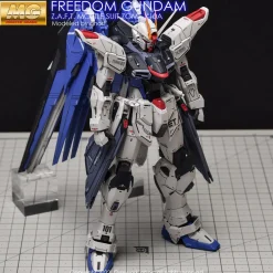 MG Freedom Gundam (Ver. 2.0) Decals