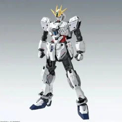 MG RX-9/C Narrative Gundam C-Packs [Ver.Ka]