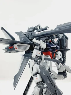 MG Strike Gundam + IWSP