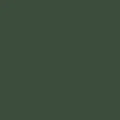 Mr. Color C519 Bronzegrun 10ml