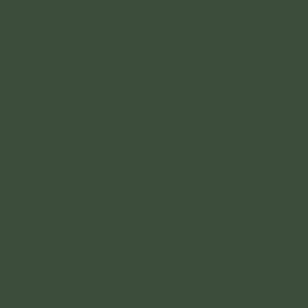 Mr. Color C519 Bronzegrun 10ml