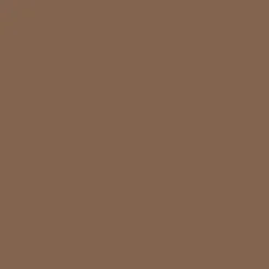 Mr. Color C526 Brown 10ml