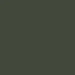 Mr. Color C516 Dark Green 3414 10ml