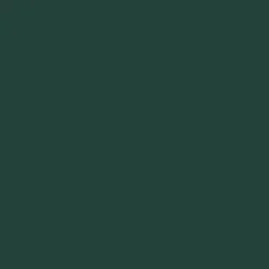 Mr. Color C70 3/4 Flat Dark Green 10ml