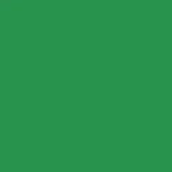 Mr. Color C135 Flat Russian Green (1) 10ml
