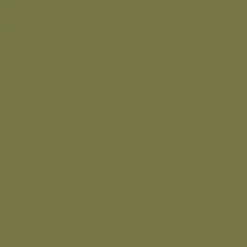 Mr. Color C351 75% Flat Zinc-Chromate Type (FS34151) 10ml