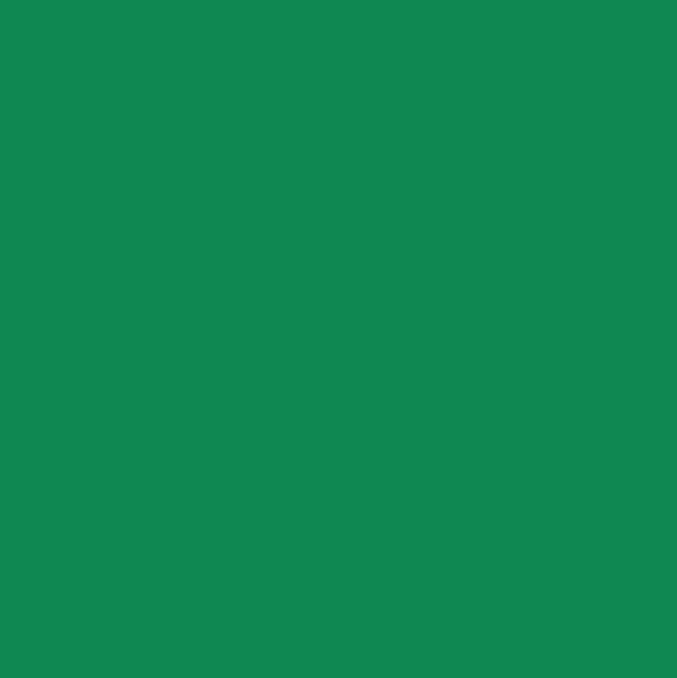 Mr. Color C77 Gloss Metallic Green 10ml