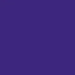 Mr. Color C67 Gloss Purple 10ml